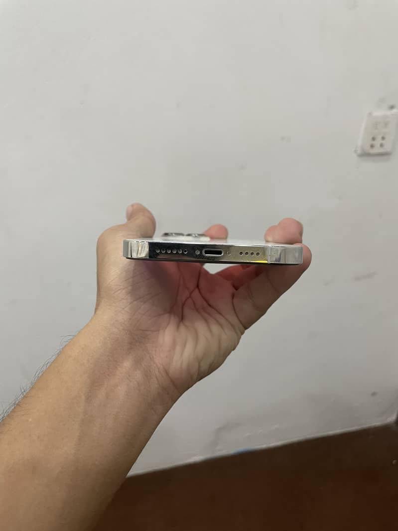 Apple iPhone 13 Pro Max 1