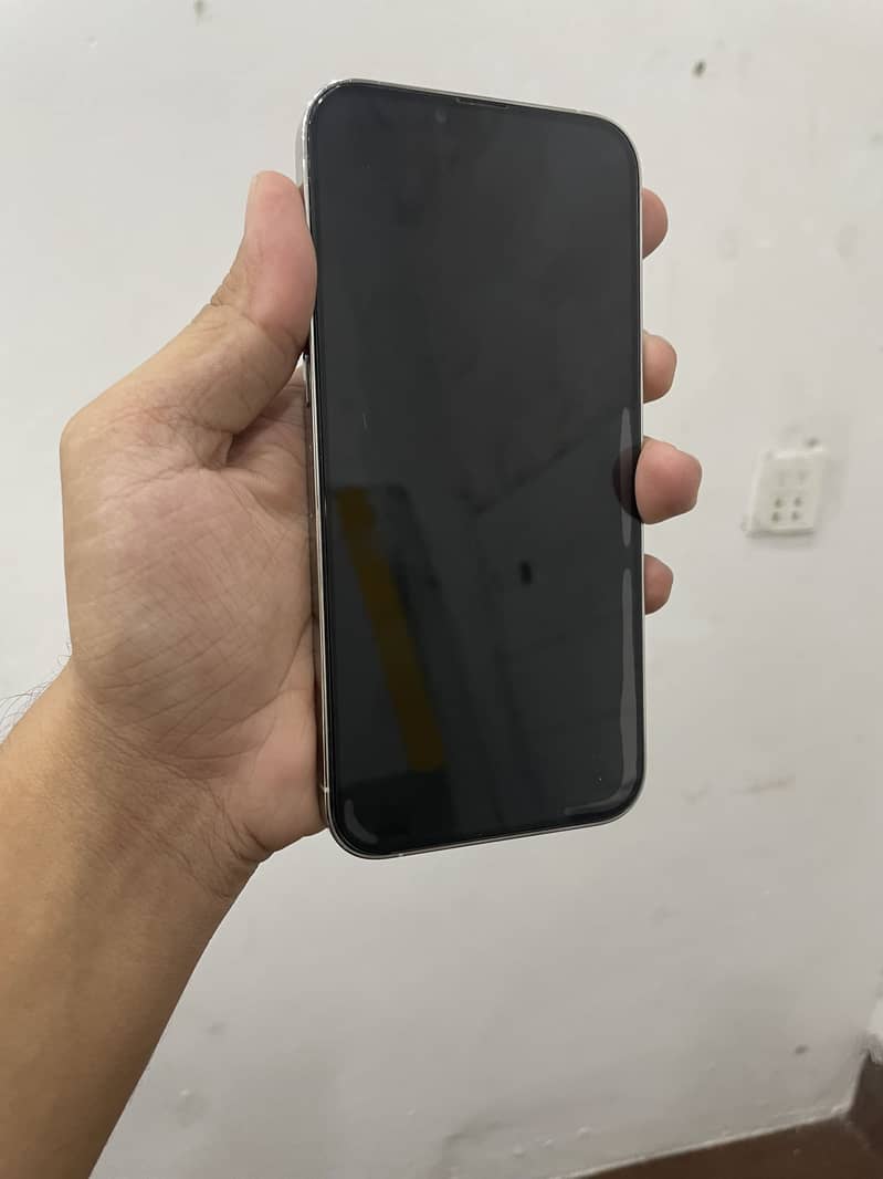 Apple iPhone 13 Pro Max 2