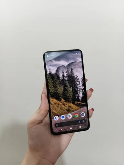 Google Other Model