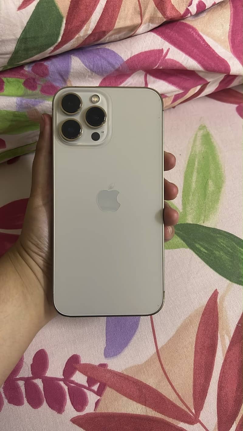 Apple iPhone 13 Pro Max 0