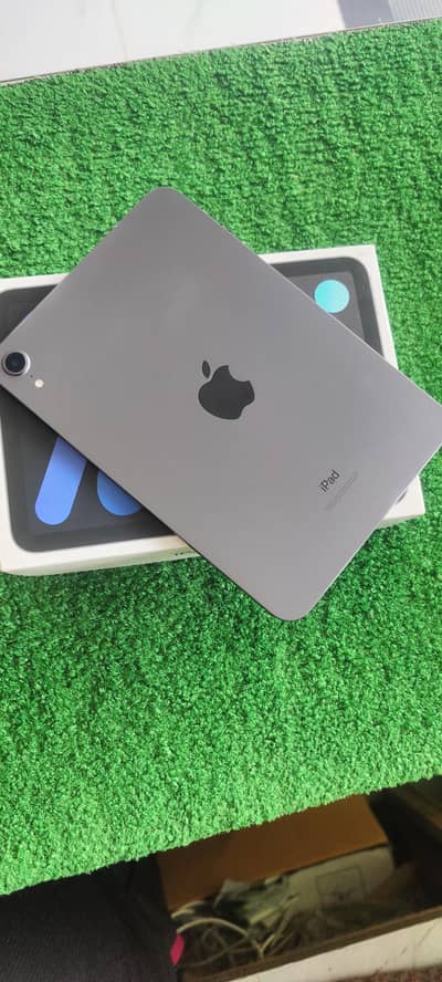 i pad mini 6