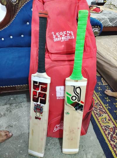 kit with 2 bats for professional cricket
