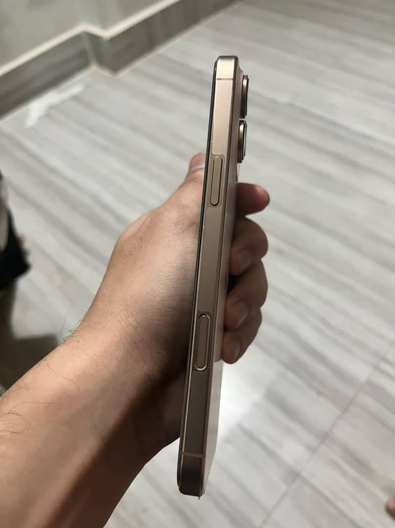 Apple iPhone 16 Pro Max 1