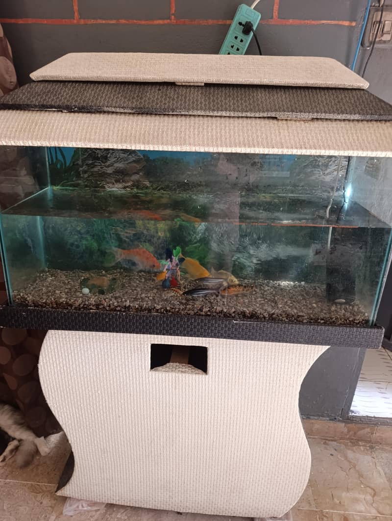 aquarium 0
