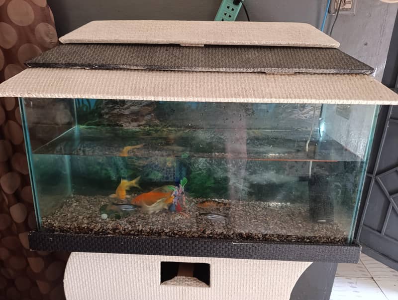 aquarium 1