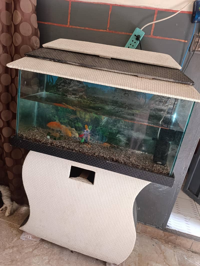 aquarium 3