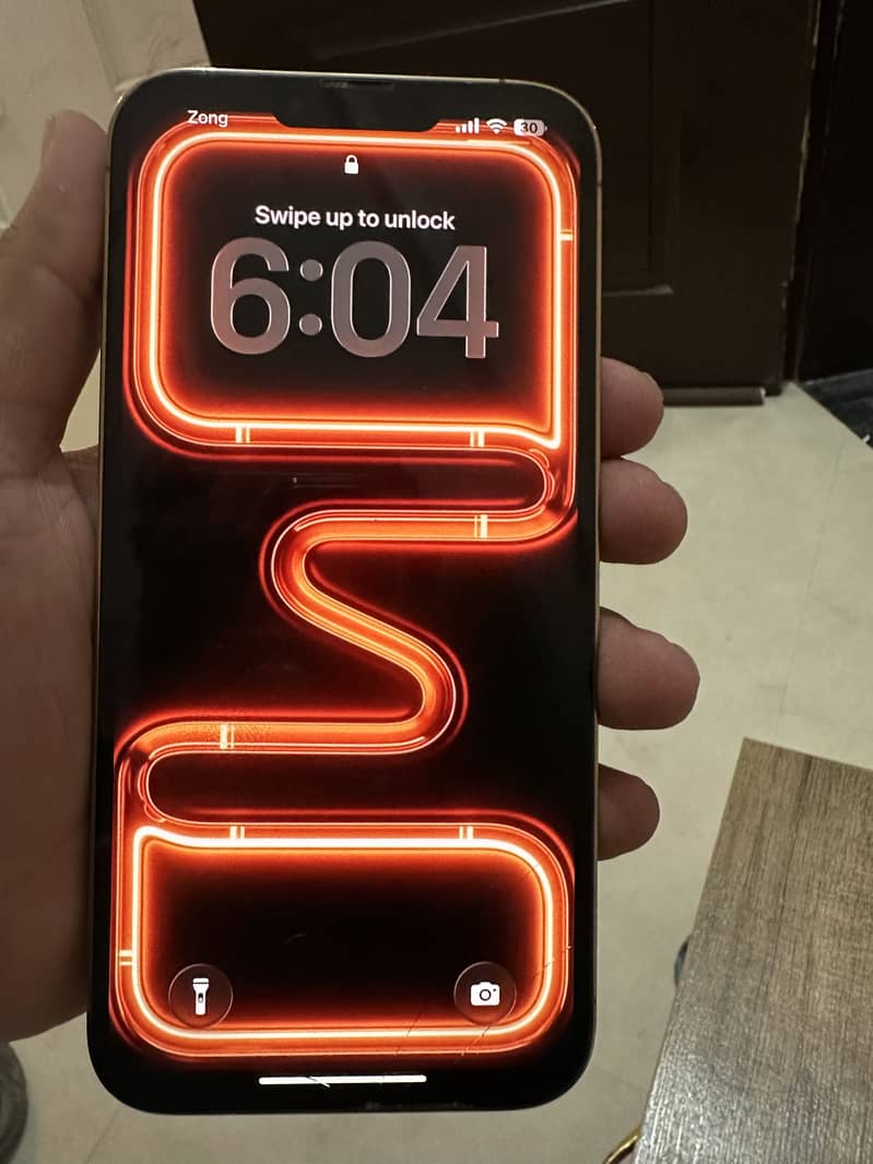 Apple iPhone 13 Pro Max 1