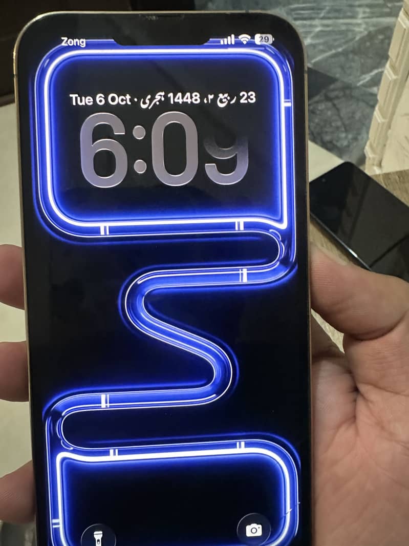 Apple iPhone 13 Pro Max 3