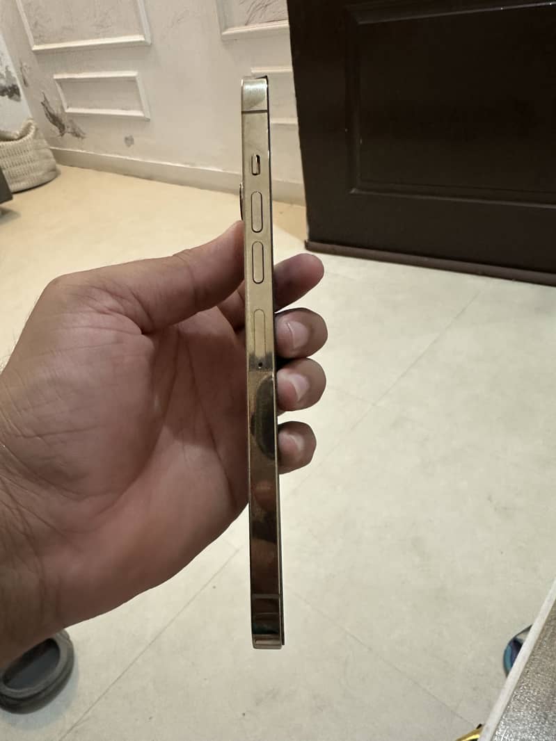 Apple iPhone 13 Pro Max 7