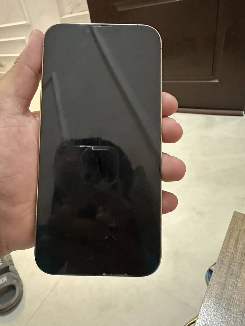 Apple iPhone 13 Pro Max 9