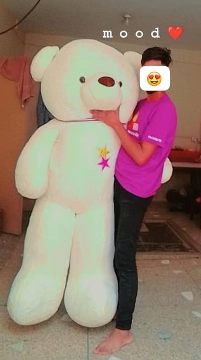 teddy bear pix send kr do ga number pr whats app kry