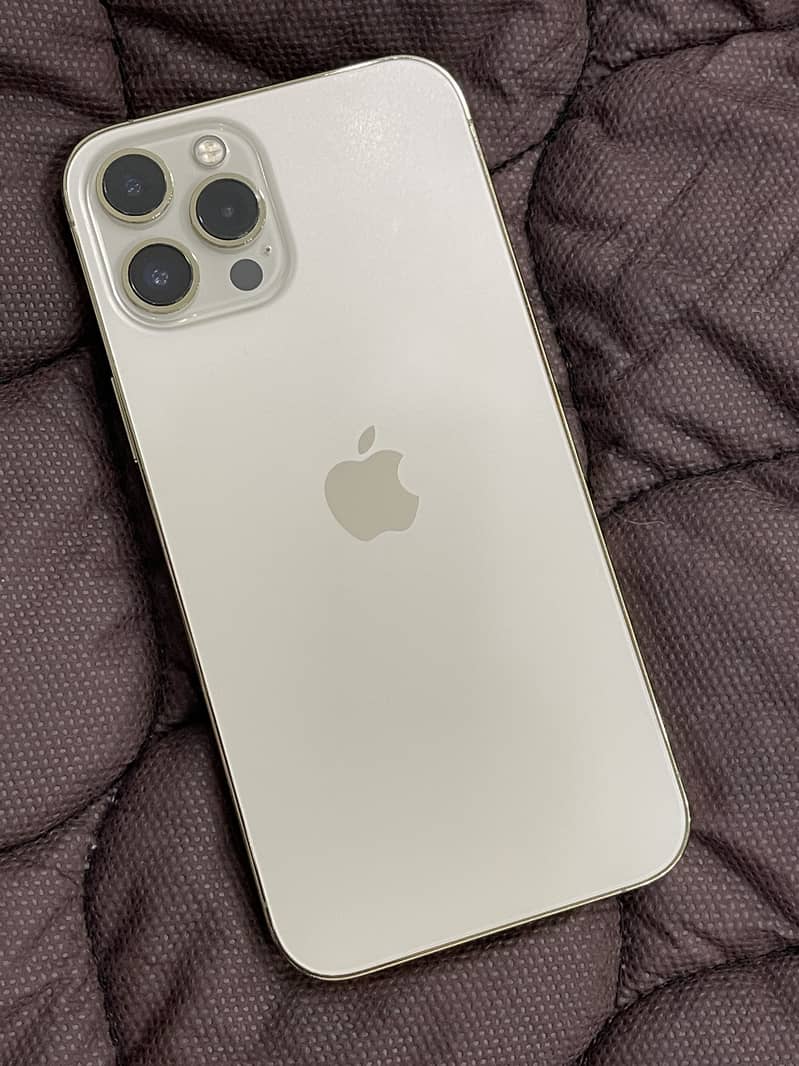 Apple iPhone 12 Pro Max 1