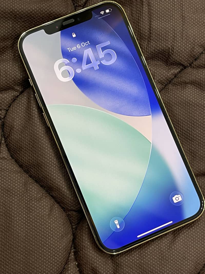 Apple iPhone 12 Pro Max 2