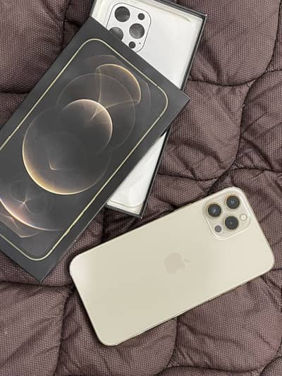 Apple iPhone 12 Pro Max