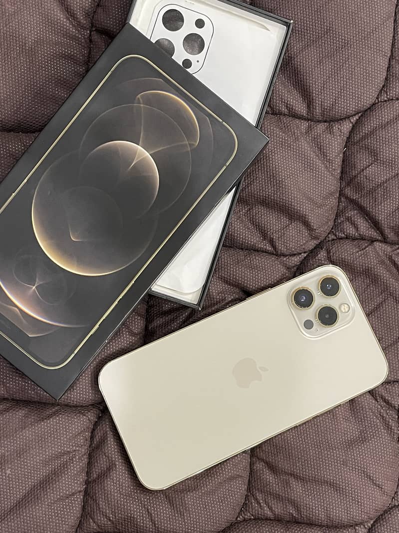 Apple iPhone 12 Pro Max 0