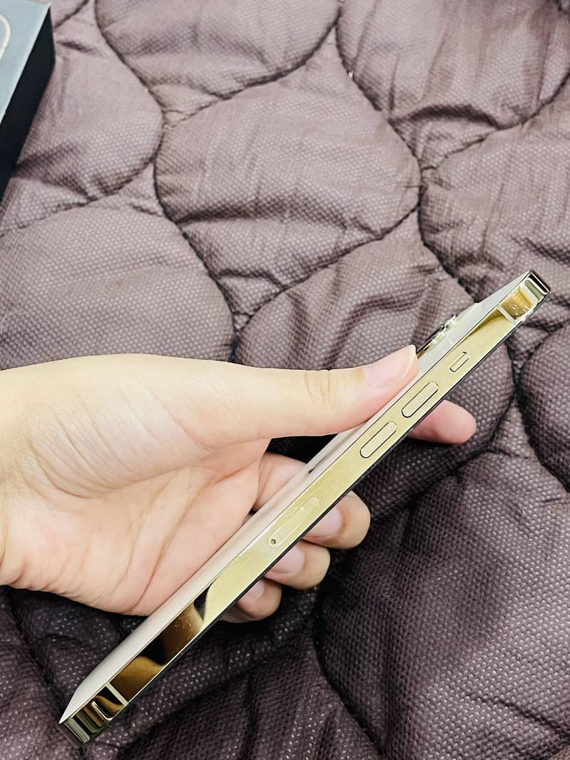 Apple iPhone 12 Pro Max 3