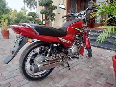 Model 2020  Yamaha YBZ125