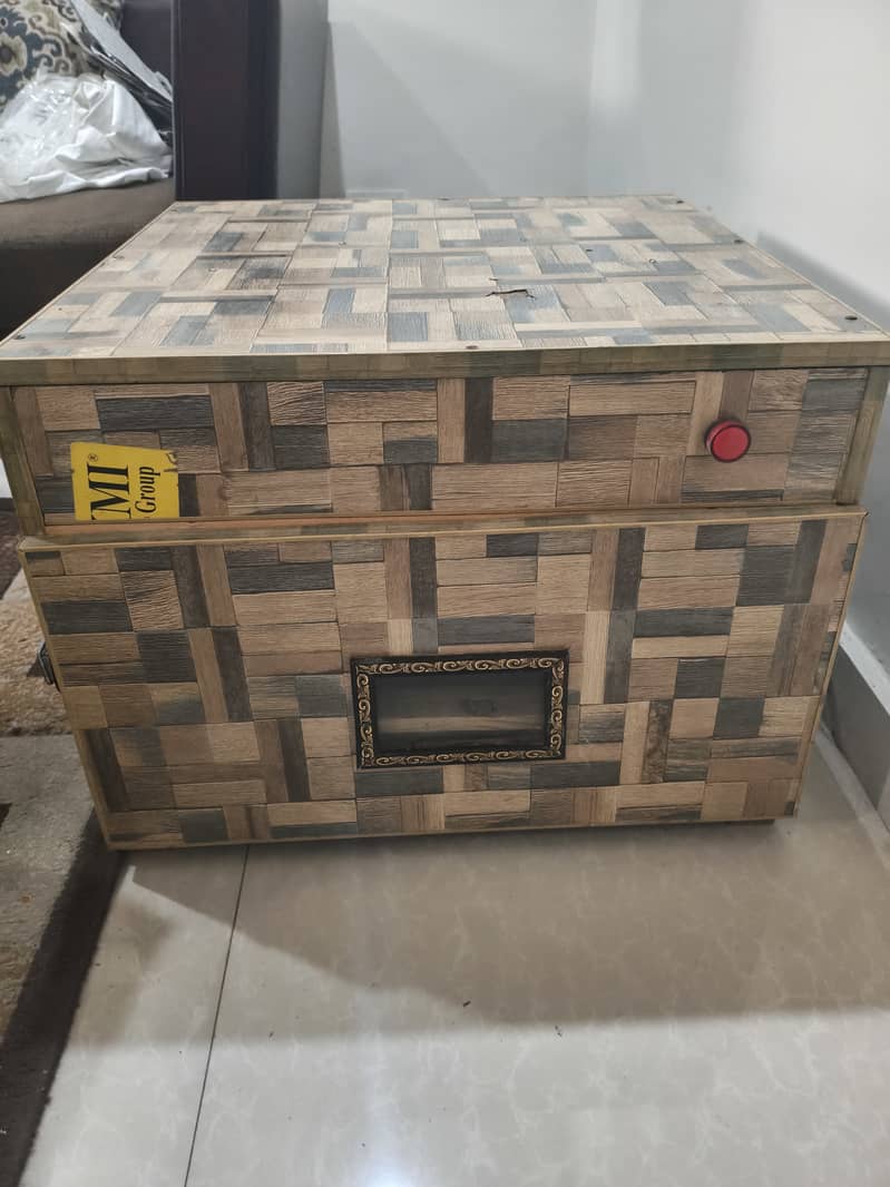 Incubator 0