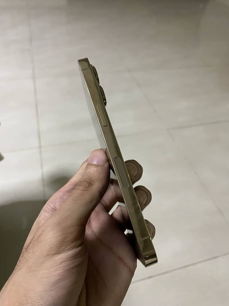 Apple iPhone 13 Pro 2