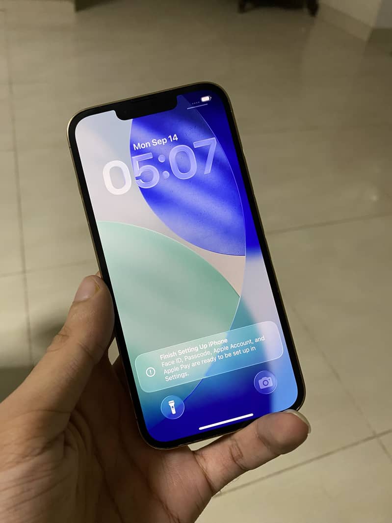 Apple iPhone 13 Pro 3