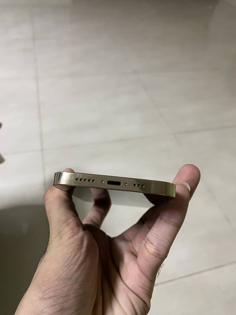Apple iPhone 13 Pro 6