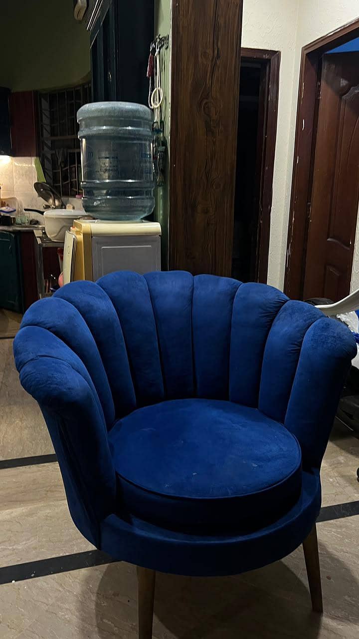 Coffee Sofas | Royal Blue Colour 1