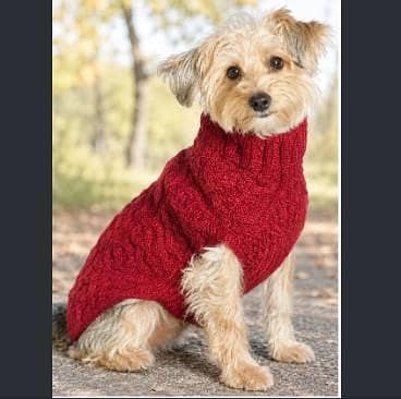 Red Cable Knit Dog Sweater  R5861