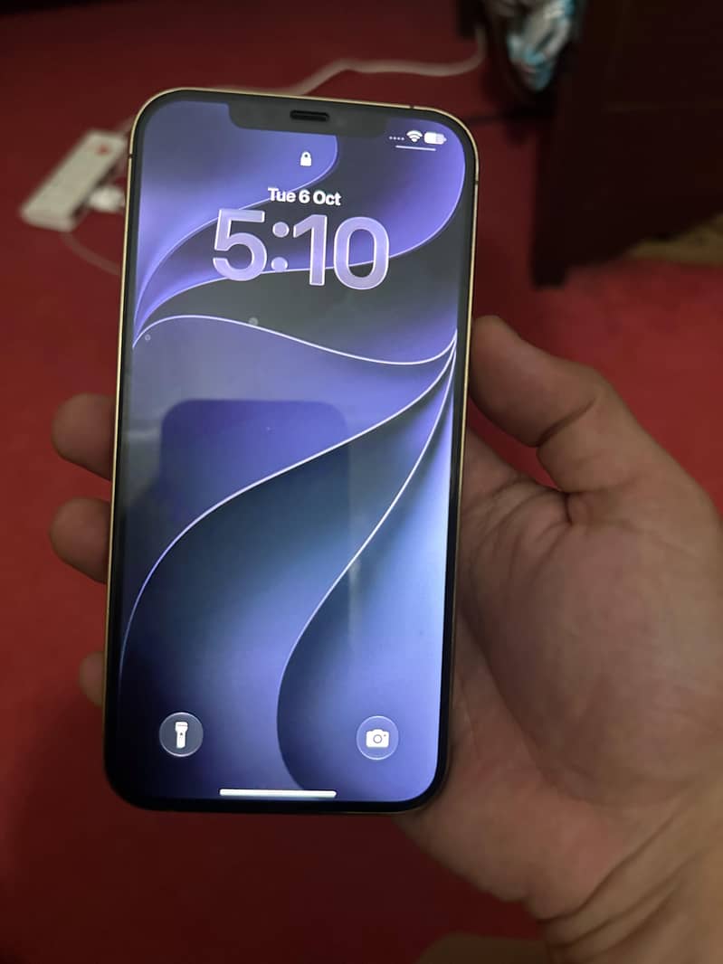 Apple iPhone 12 Pro Max 1