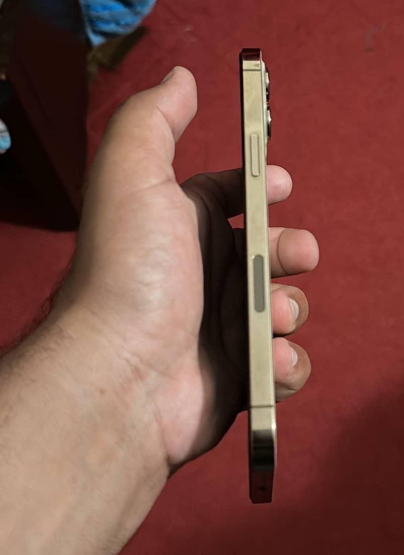 Apple iPhone 12 Pro Max 2