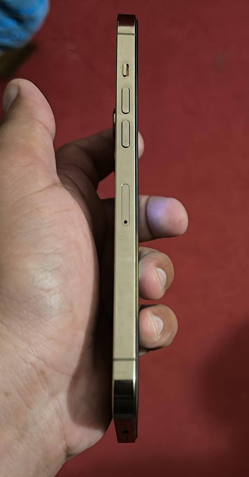Apple iPhone 12 Pro Max 4