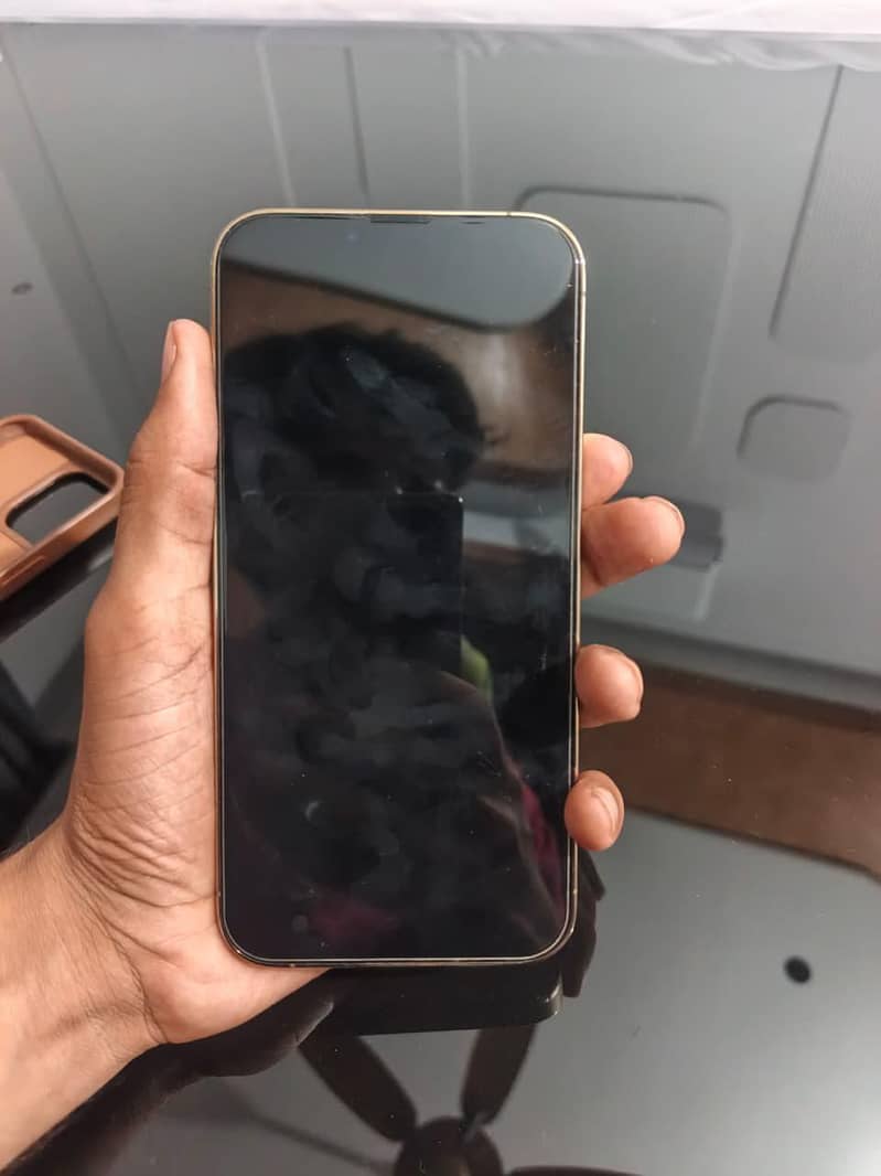 Apple iPhone 13 Pro Max 1
