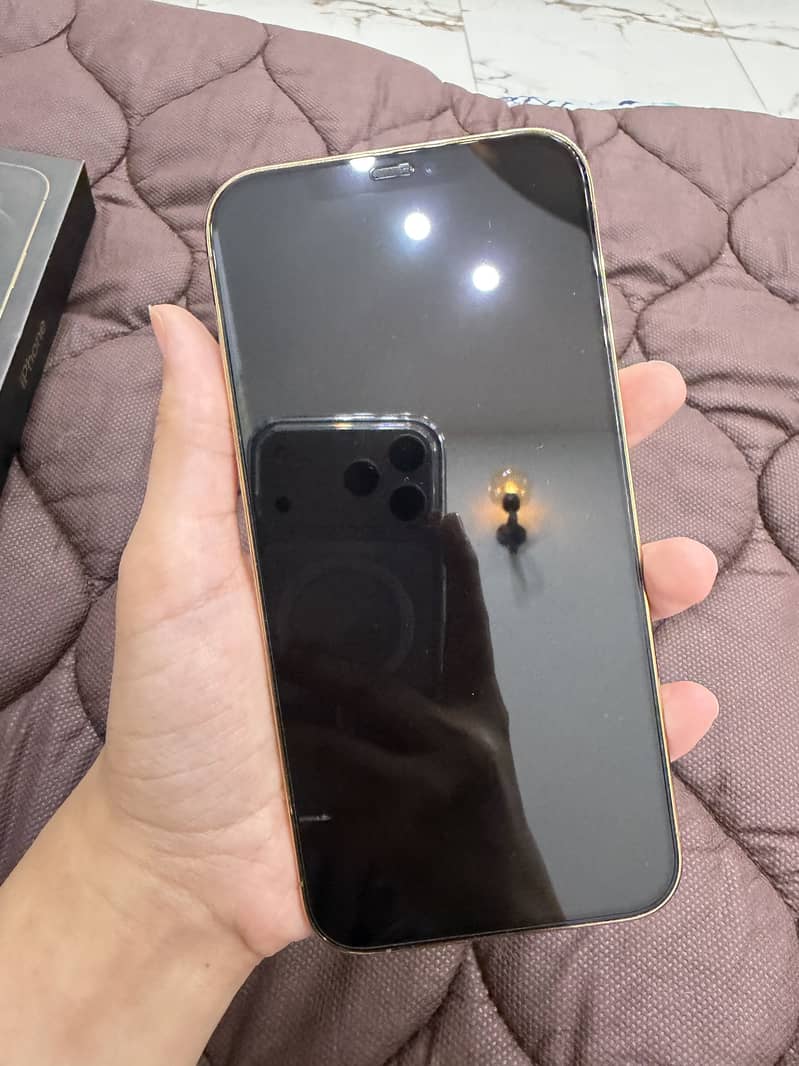 Apple iPhone 12 Pro Max 5