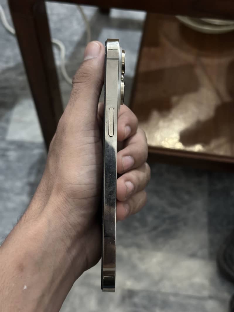 Apple iPhone 14 Pro Max 1