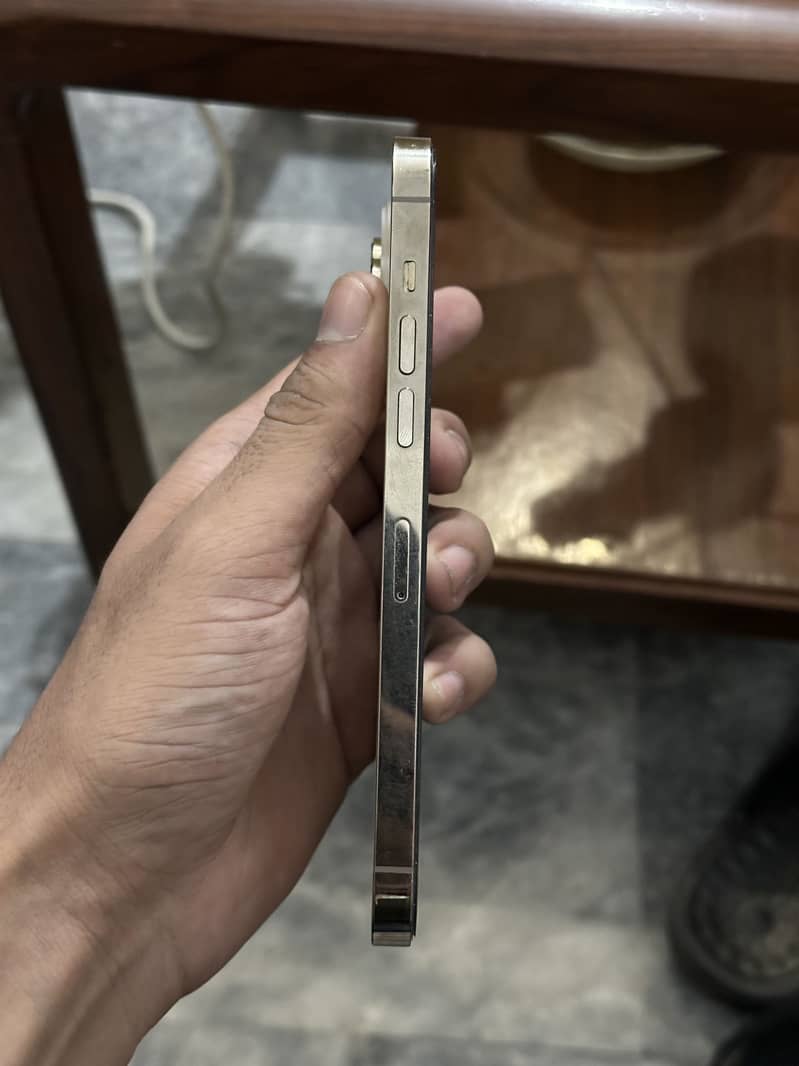 Apple iPhone 14 Pro Max 3