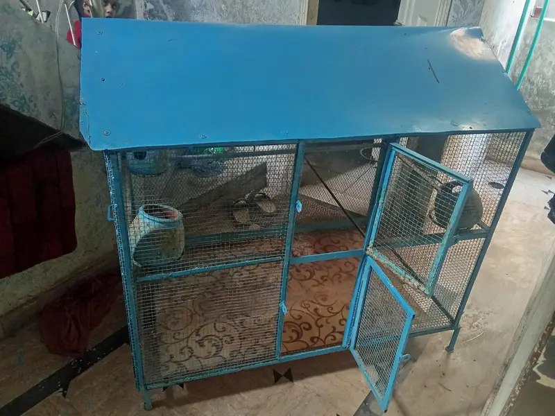 big size iron cage for sale condition all ok — photo 4
