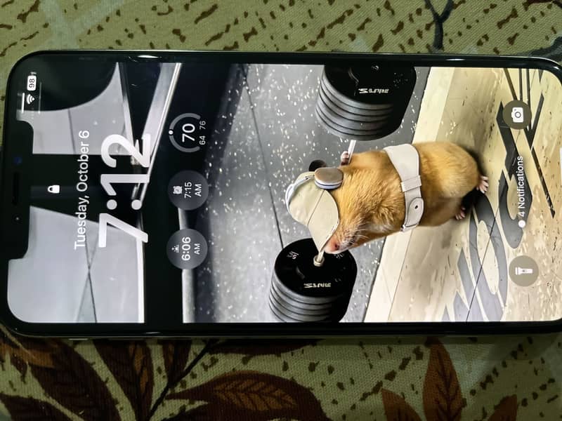 iPhone XSMax 2