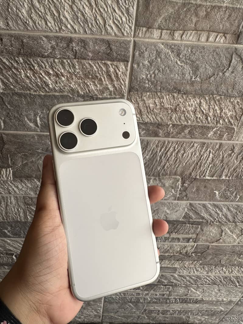 17 Pro Max (Silver) 0