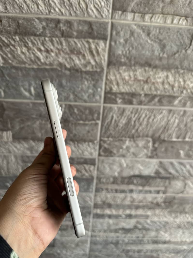 17 Pro Max (Silver) 1
