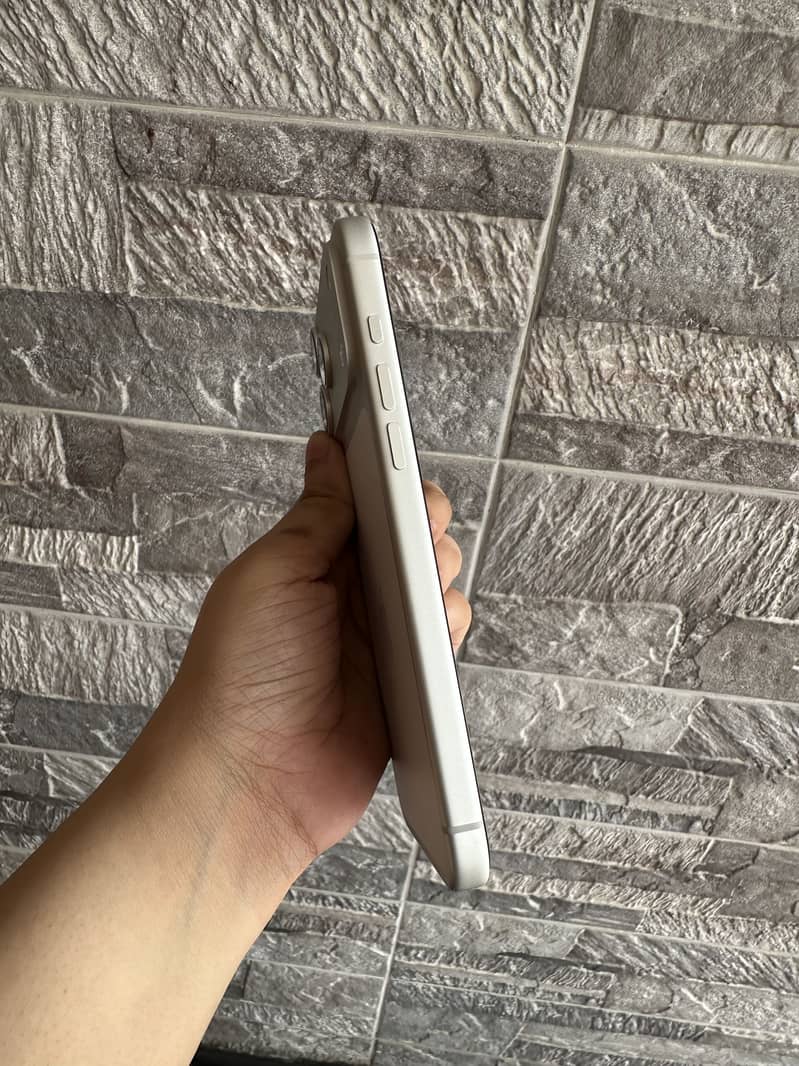 17 Pro Max (Silver) 3