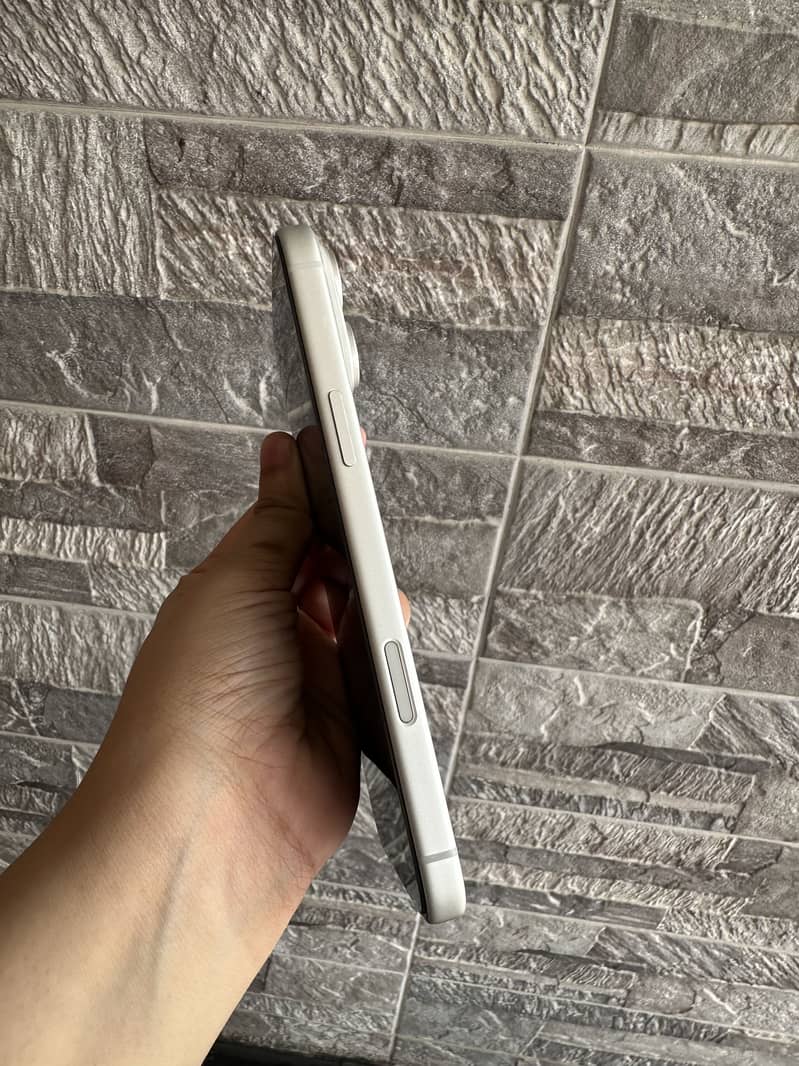 17 Pro Max (Silver) 4