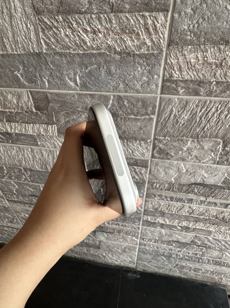 17 Pro Max (Silver) 5