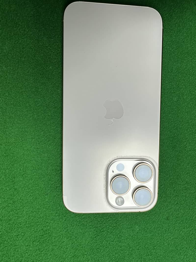Apple iPhone 16 Pro Max 1