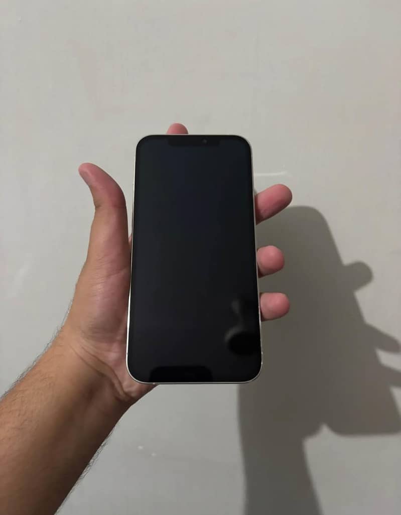 Apple iPhone 12 Pro Max 1