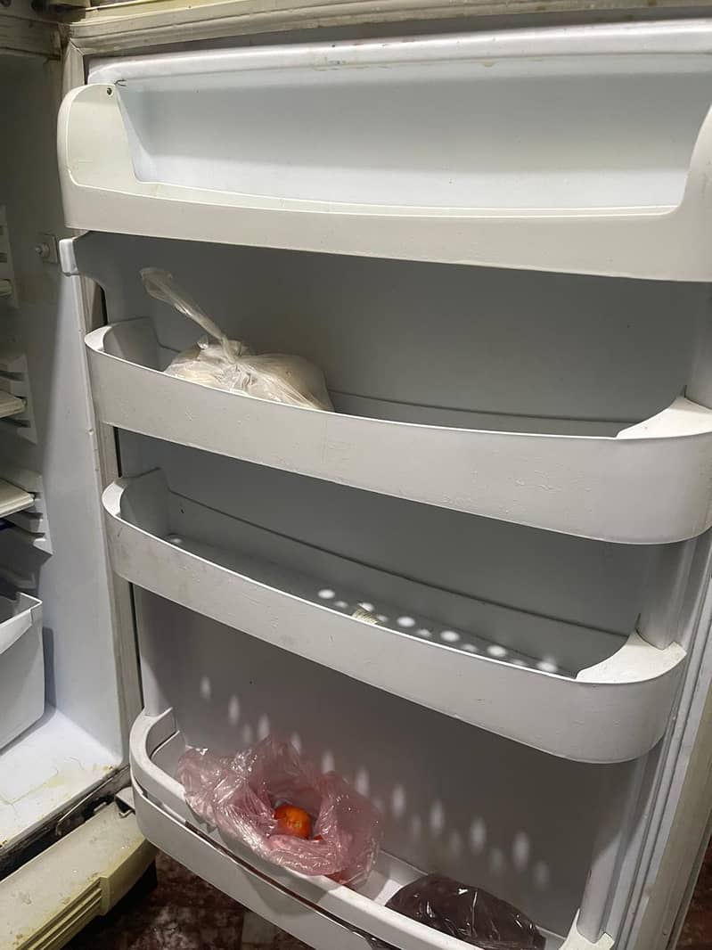 PEL Refrigerator 4
