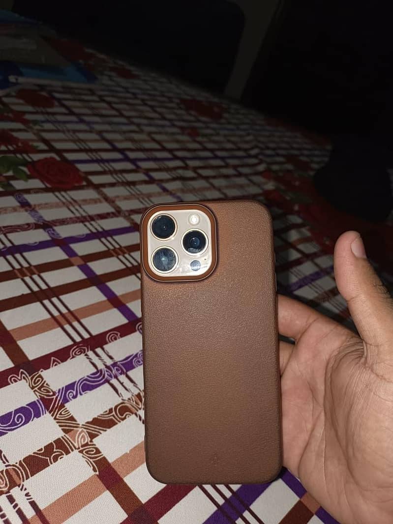 Apple iPhone 16 Pro Max 1