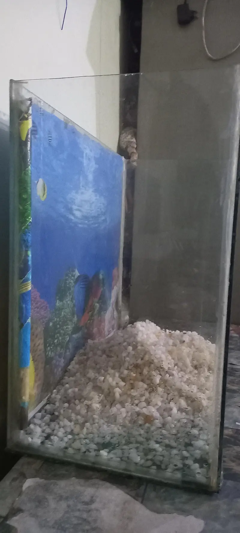 Aquarium for sale. . With 3 fishes. . First hand . . . With stones. . for home — photo 2