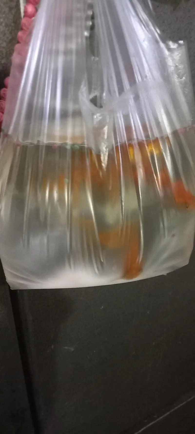 Aquarium for sale. . With 3 fishes. . First hand . . . With stones. . for home — photo 4