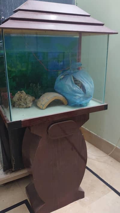 Big Fish tank for sale