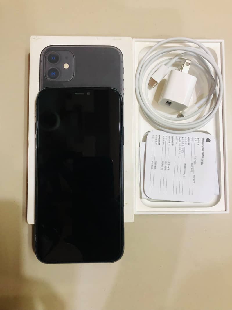 Apple iPhone 11 0