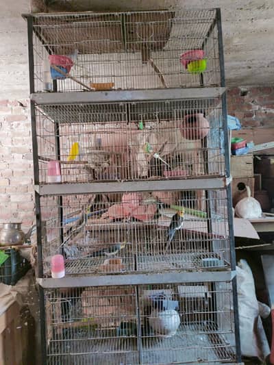 10 portions galvanised cage